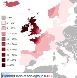 Map showing distribution of L-21. It shows that over 60% of men in the western areas of the British Isles carry this genetic marker.