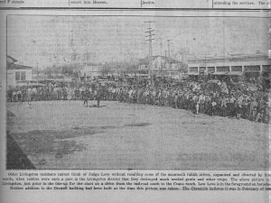 Lewis Love, seated on horse on left, leading a jack rabbit drive, about 1918. Photo from the Livingston Chronicle, Oct. 12, 1933.