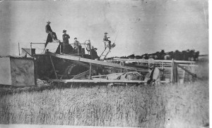 Grain thrasher, Lewis Love ranch, Livingston, California, about 1920